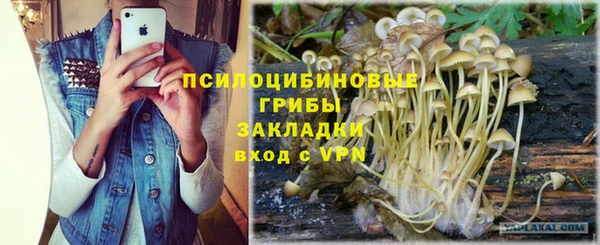 ПСИЛОЦИБИНОВЫЕ ГРИБЫ Балабаново
