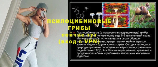 ПСИЛОЦИБИНОВЫЕ ГРИБЫ Балабаново