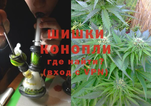 ПСИЛОЦИБИНОВЫЕ ГРИБЫ Балабаново